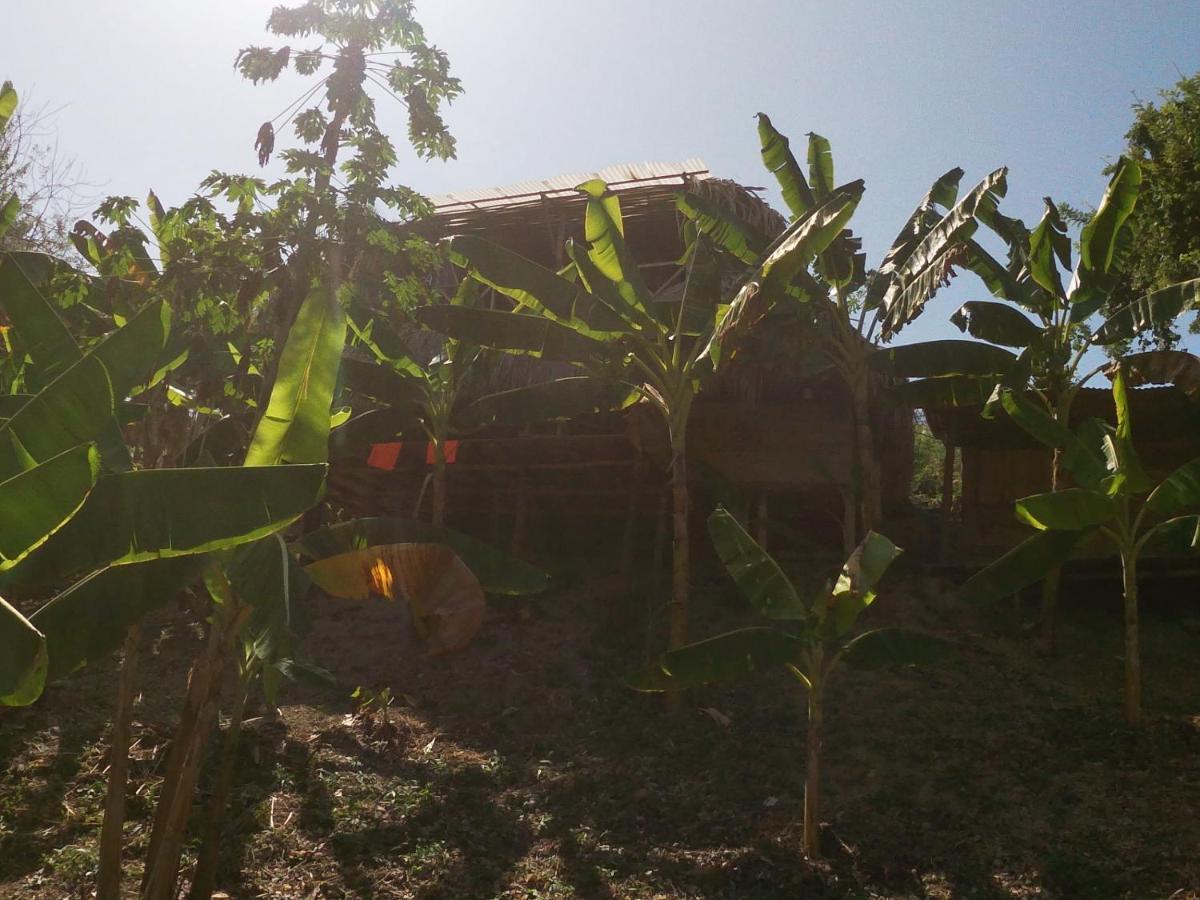 Private Beach House Maloka Surf Puerto Limon Ngoại thất bức ảnh
